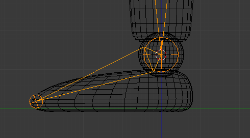 L'os du pied en vue de profil