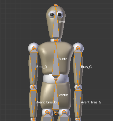 Pensez à nommer les os !