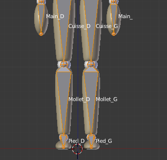 Pensez à nommer les os !