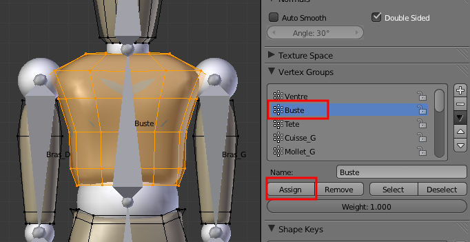 Assigner les points à l'os du buste