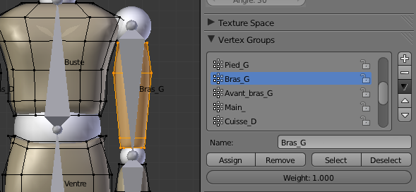 Assigner les points à l'os du bras gauche