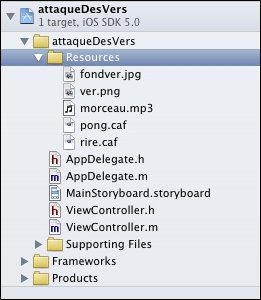 Les ressources apparaissent dans l'arborescence du projet