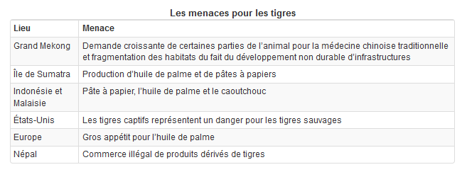 Image utilisateur