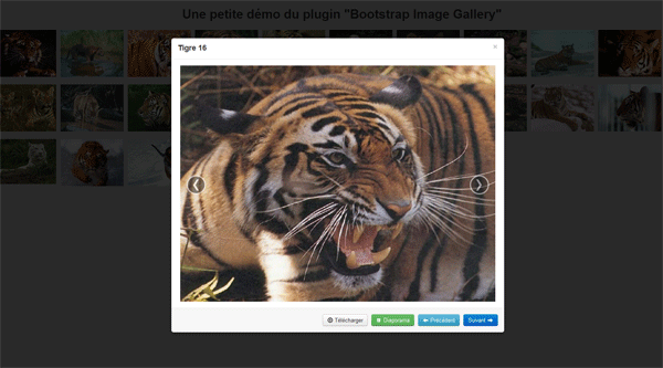 Image utilisateur