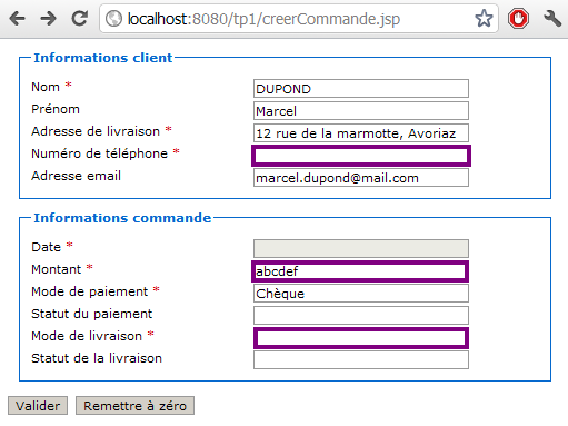 Oubli de champs obligatoires et saisie d'un montant erroné dans le formulaire