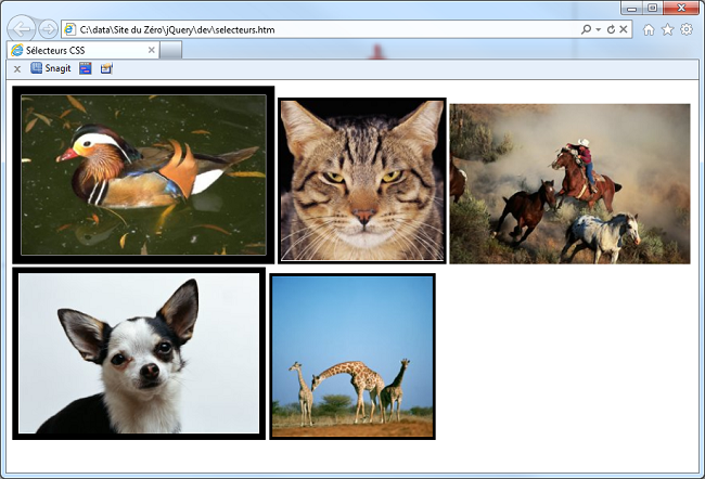 Le code exécuté dans Internet Explorer