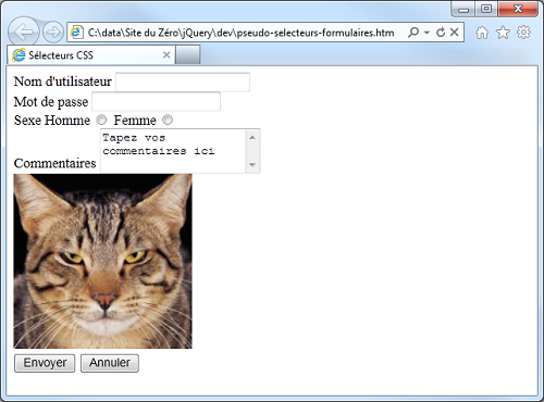 Le code précédent exécuté dans Internet Explorer