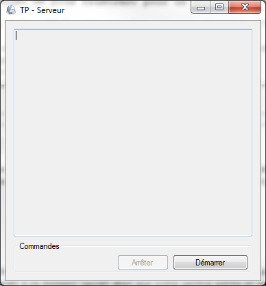 Le serveur devrait ressembler à ceci. Embalissez-le si vous le désirer !