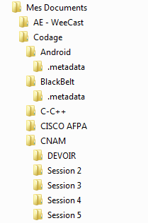 Une partie de mon dossier « Mes Documents »