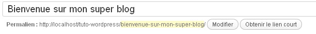 Aperçu du permalink de l'article Bienvenue sur mon super blog
