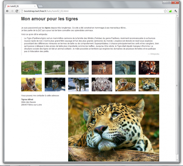 Image utilisateur