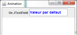 Exemple de champ de texte