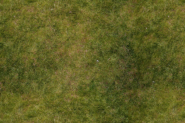 fond.png : 600 × 400 pixels