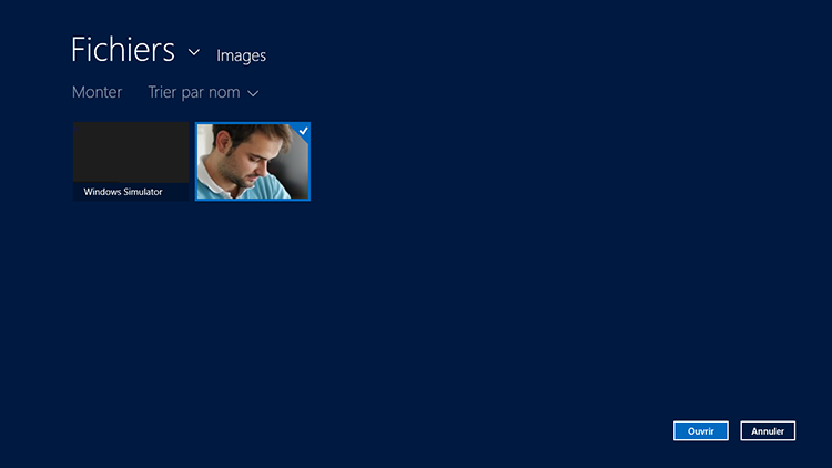 Sélection d'une image avec « FileOpenPicker »