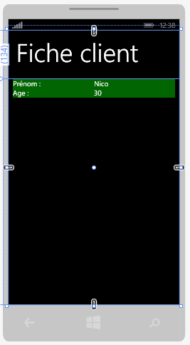 Affichage des données en mode design grâce à MVVM