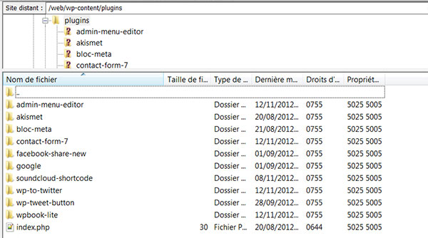 Exemple de dossier wp-content/plugins