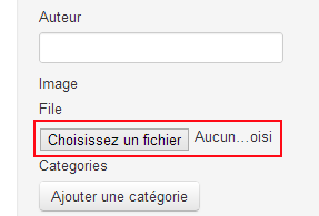 Champ pour envoyer un fichier