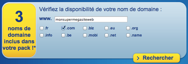 On vous demande de choisir le nom de domaine de votre site