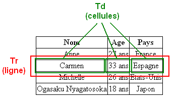 Un tableau, avec des cellules contenues dans des lignes