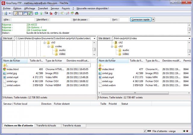 Des fichiers sont hébergés sur le FTP