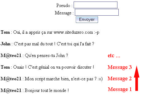 Aperçu du mini-chat une fois réalisé