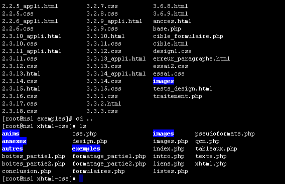 Un exemple de console, ici sous Linux