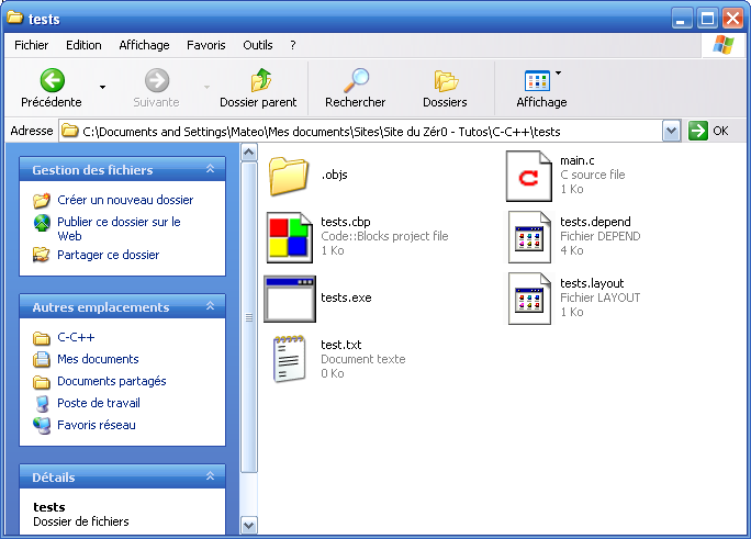 Le fichier doit être placé dans le même dossier que l'exécutable
