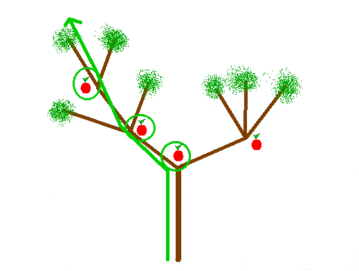 pommier : meilleur chemin