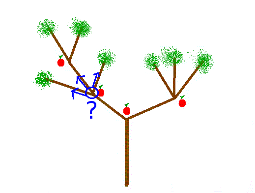 Pommier : choix du chemin