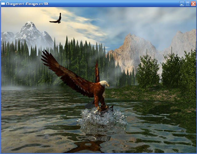 Une image BMP chargée dans la fenêtre