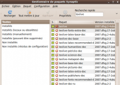 Gestionnaire de paquets
