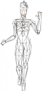 wireframe