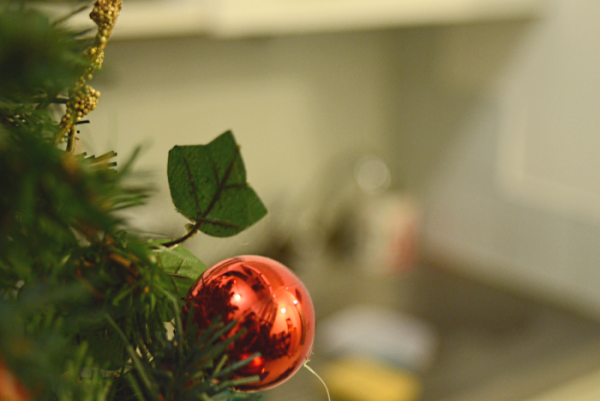 Exemple de flou focal sur une photographie